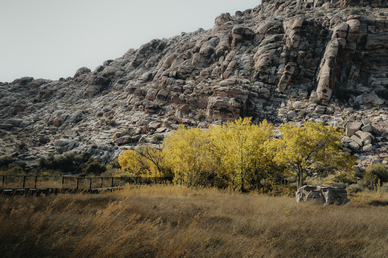 Red Rock Canyon National Conservation Area Landscape Architecture