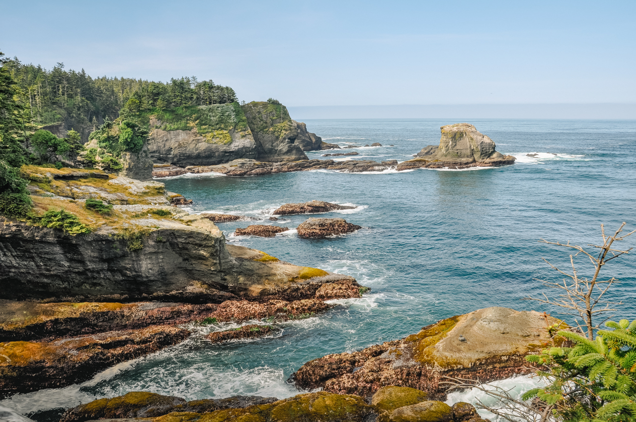 Pacific North West Nature