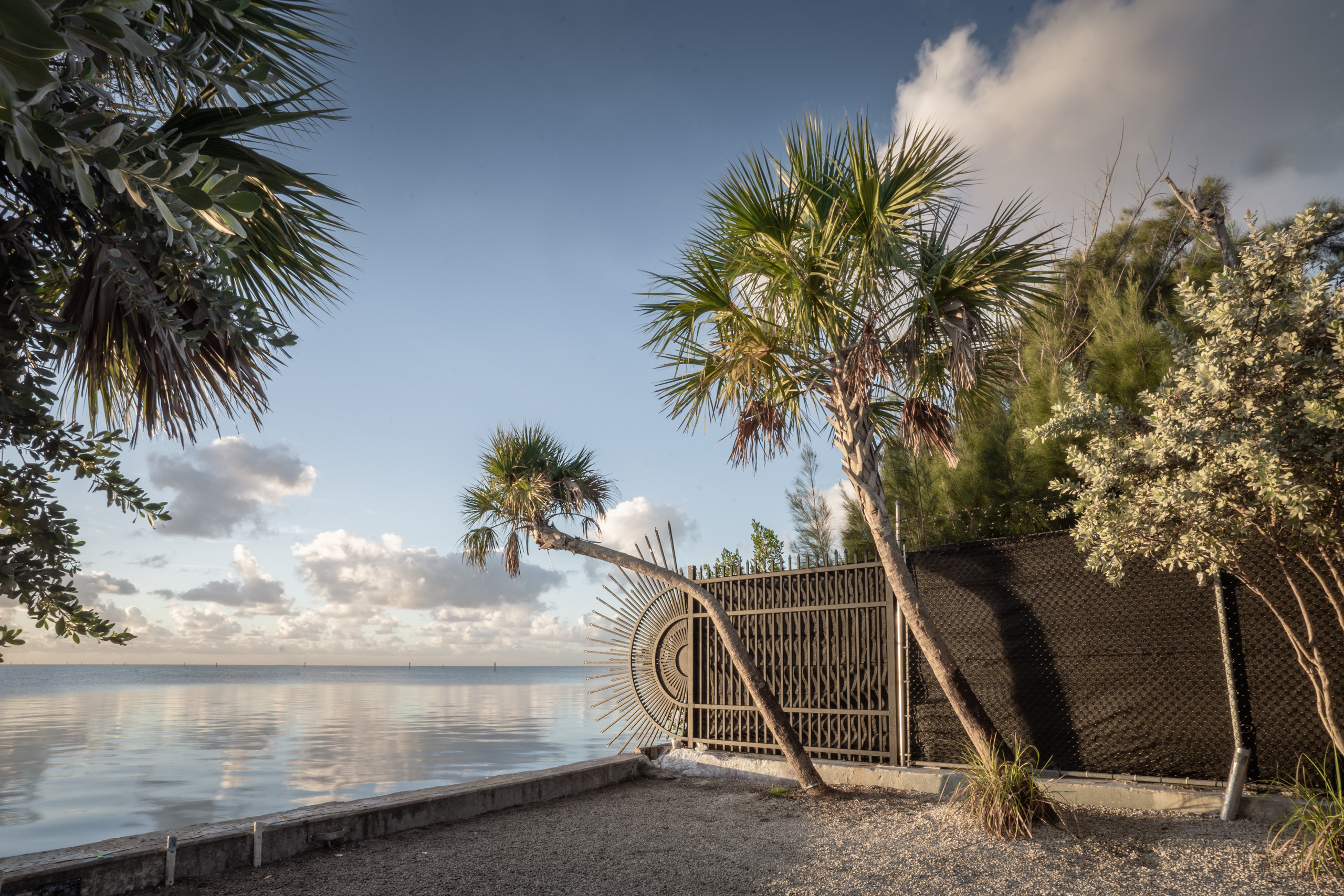 Big Hill Park Tropical Landscape