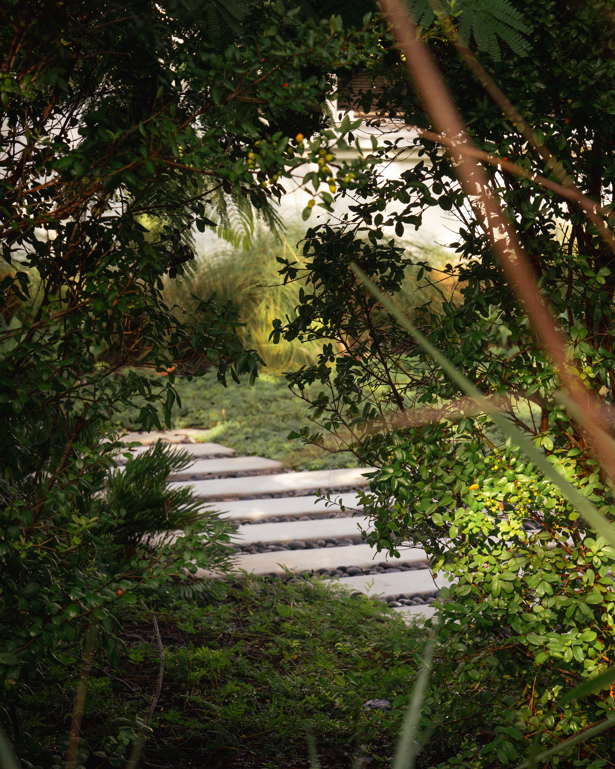 The Roads Garden Native Garden