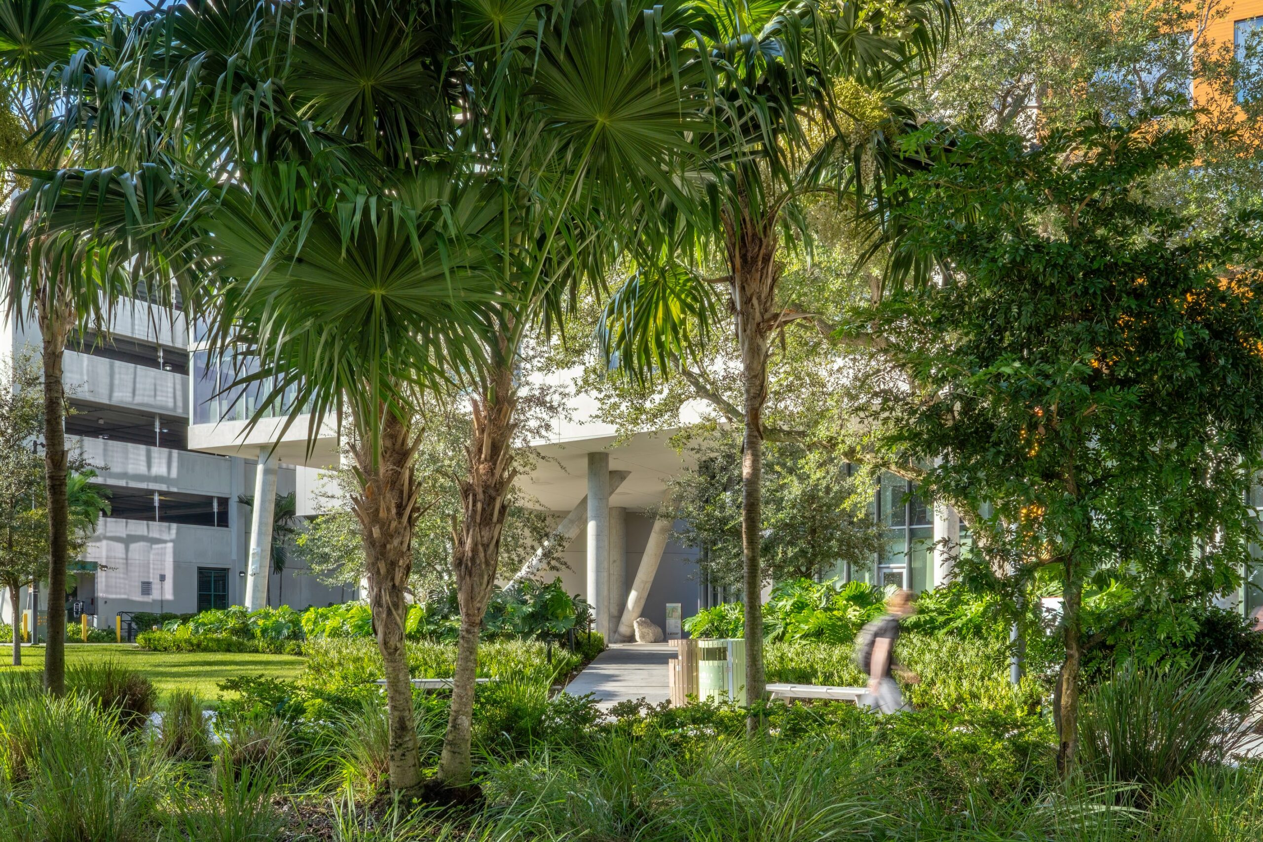 UM Lakeside Village Landscape Architecture