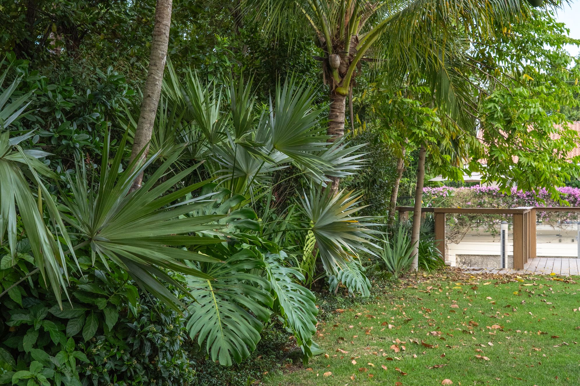 Alfonso Residence Landscape Architecture